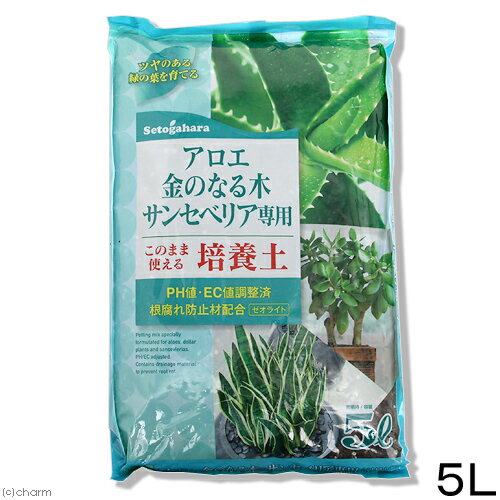 サンスベリア ファーンウッドとは 品種としての特徴と育て方を紹介 2ページ目 Botanica