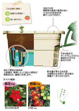 リッチェル うるオンプランター 65型 ダークグリーン 底面給水 大容量貯水 家庭菜園 グリーンカーテン 菜園 関東当日便