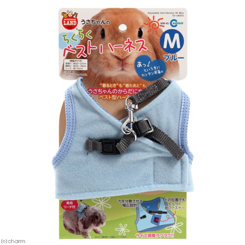 �ޥ륫�󡡤��������Τ餯�餯�٥��ȥϡ��ͥ���M���֥롼�����������ϡ��ͥ����꡼�ɡ�����������