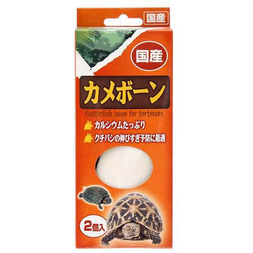 アラタ　カメボーン　2個入　関東当日便