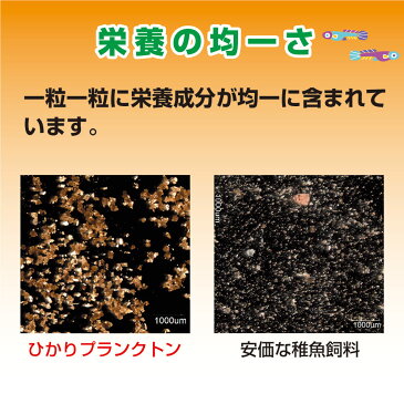 キョーリン　ひかりプランクトン　中期　400g（錦鯉・らんちゅう・メダカ等の稚魚用）　関東当日便