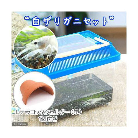 エビ 飼育セット用品が激安楽天市場で通販生活 エビ 飼育セット用品が激安楽天市場で通販生活