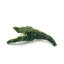 （水草）巻きたて　ジャイアント南米ウィローモス　流木　Lサイズ（約25cm）（水中葉）（無農薬）（1本）