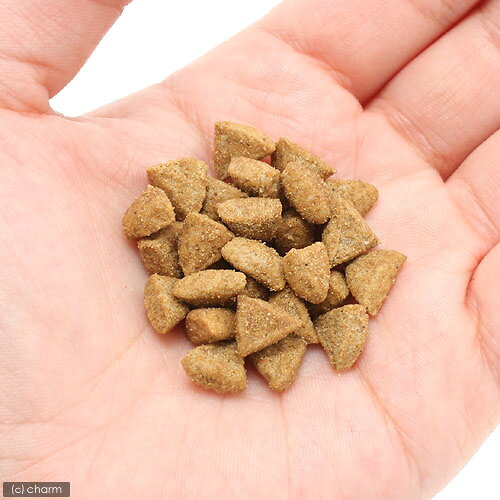 キャットフード　ホリスティックレセピー　猫シニア用　7歳から　チキン＆ライス　1．6kg（400g×4袋）　【正規品　フード　猫】　関東当日便 chanet-10219923 charm 楽天市場店 サンプル画像2