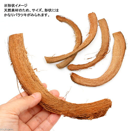 �Ĥ���λ���ࡡ�Ȥޤ��ڡ��ϥ������饤����5�ܡ������ॷ�������������������������