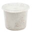 菌糸カップ XL-CUP ヒラタケ 430cc 1個【HLS_DU】 280円