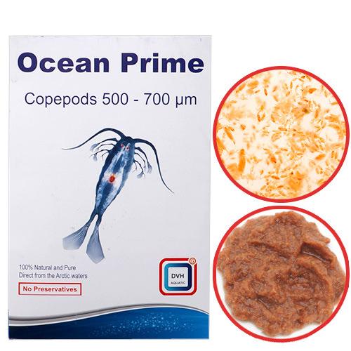 DVH Ocean Prime Copepods（フレッシュパックコペポーダ） 500~700micron 50g 海水魚 エサ