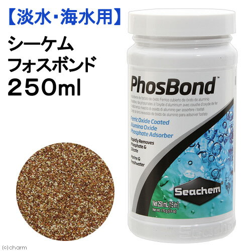 Seachem シーケム フォスボンド Phos Bond 250ml 淡水海水用