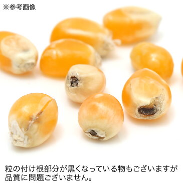 国産　とうもろこし　粒々　ポップ種　80g　小動物用のおやつ　無添加　無着色【HLS_DU】　関東当日便