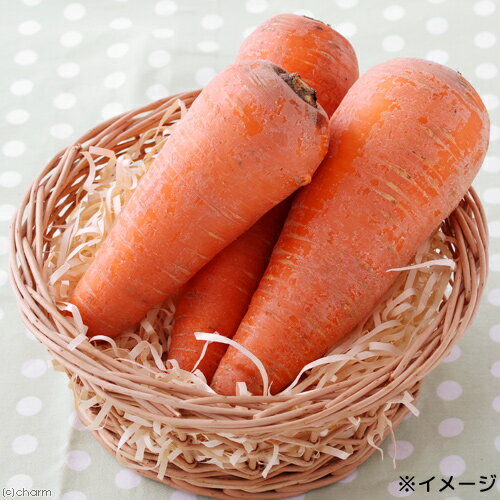 サンプル画像3