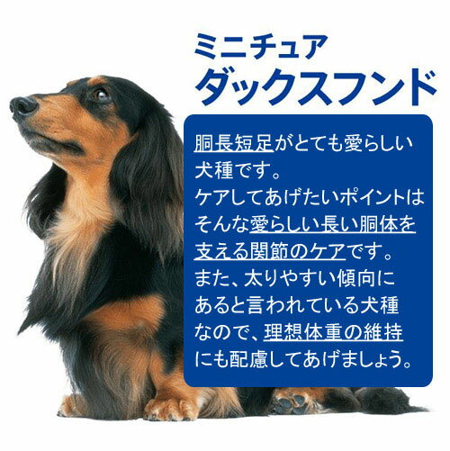ドッグフード　プロマネージ　7歳からのミニチュアダックスフンド専用　シニア犬用　4kg　高齢犬用　関東当日便