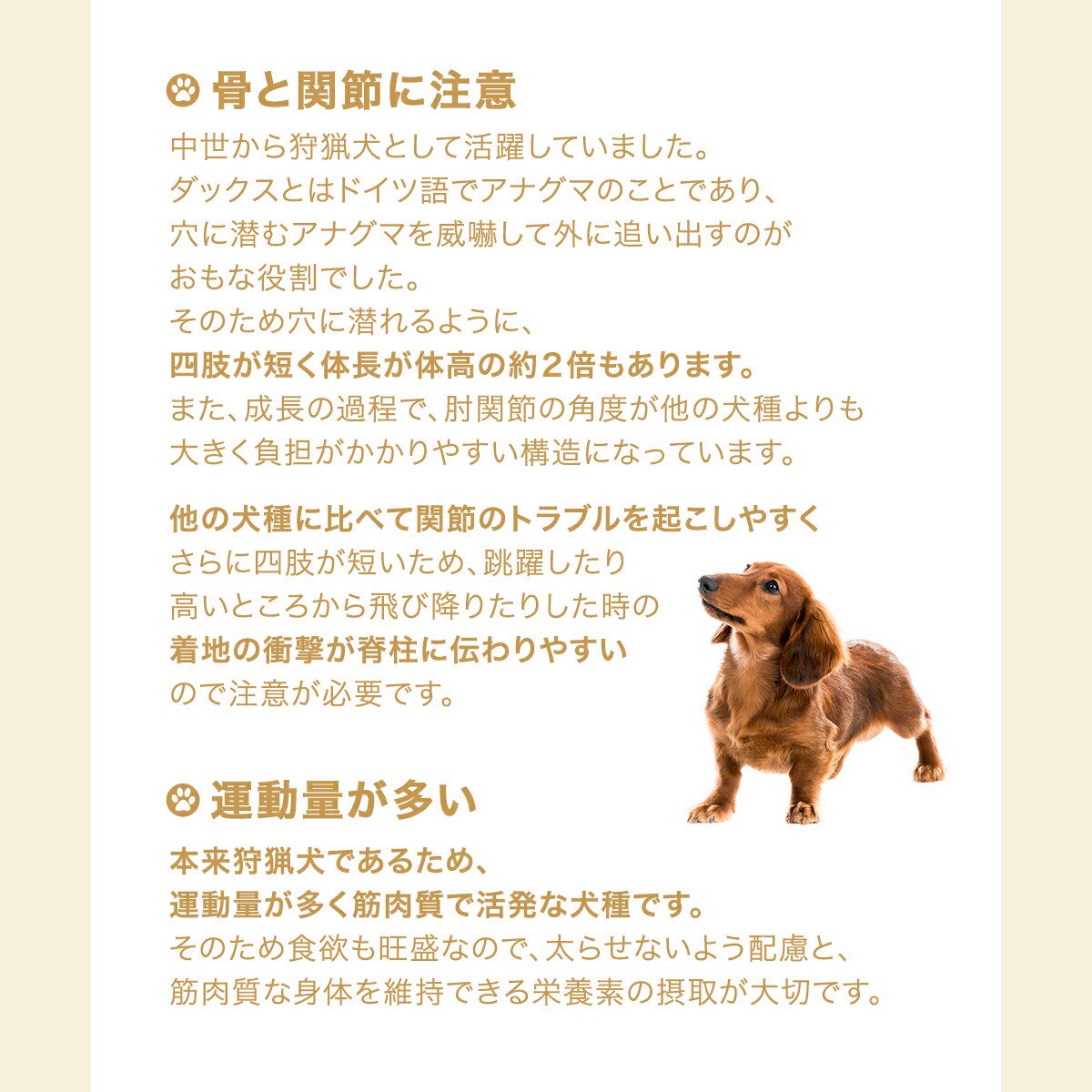 ロイヤルカナン　ダックスフンド　中・高齢犬用　1．5kg×5袋　ジップ付　お一人様1...