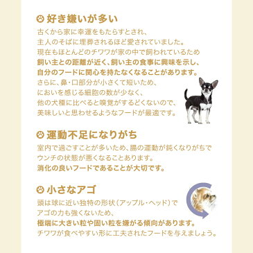 ロイヤルカナン　チワワ　中・高齢犬用　3kg×4袋　沖縄別途送料　ジップ付　関東当日便