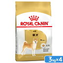 ロイヤルカナン 柴犬 成犬用 3kg×4袋 3182550823906 ジップ付 お一人様1点限り 関東当日便