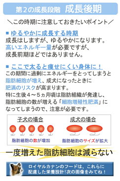 ロイヤルカナン　エクストラスモール　ジュニア　1．5kg×5袋　3182550793612　沖縄別途送料　関東当日便