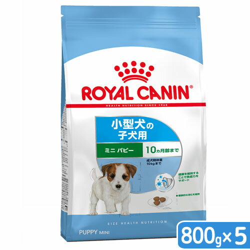 ロイヤルカナン　ミニ　パピー　子犬用　800g×5袋　3182550792929　ジップ付　お一人様2点限り　関東当日便