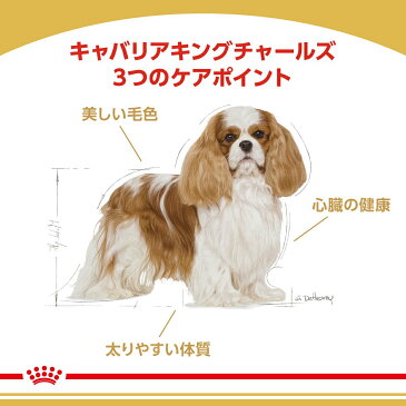 ロイヤルカナン　キャバリア　キング　チャールズ　成犬・高齢犬用　1．5kg×5袋　沖縄別途送料　ジップ付　関東当日便