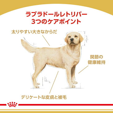 ロイヤルカナン ラブラドールレトリバー 成犬〜高齢犬用 3kg×4袋 沖縄別途送料 ジップ付 関東当日便