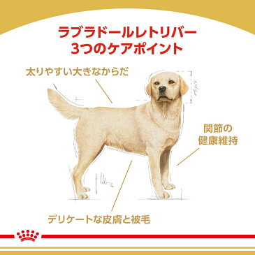 ロイヤルカナン　ラブラドールレトリバー　成犬〜高齢犬用　3kg×4袋　沖縄別途送料　ジップ付　関東当日便