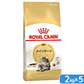 ロイヤルカナン　猫　メインクーン　成猫用　生後15ヵ月齢から12歳まで　2kg×5袋　ジップ付（キャットフード　ドライ）【HLS_DU】　関東当日便