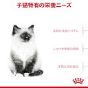 ロイヤルカナン　子猫　キトン　成長後期の子猫用　生後12ヵ月齢まで　2kg×5袋　ジップ付　キャットフード　ドライ【HLS_DU】　関東当日便 2