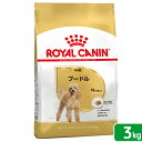 【6/5限定】当選確率2分の1!1等最大100% ロイヤルカナン プードル 成犬用 3kg 3182550765206 ジップ付 お一人様5点限り