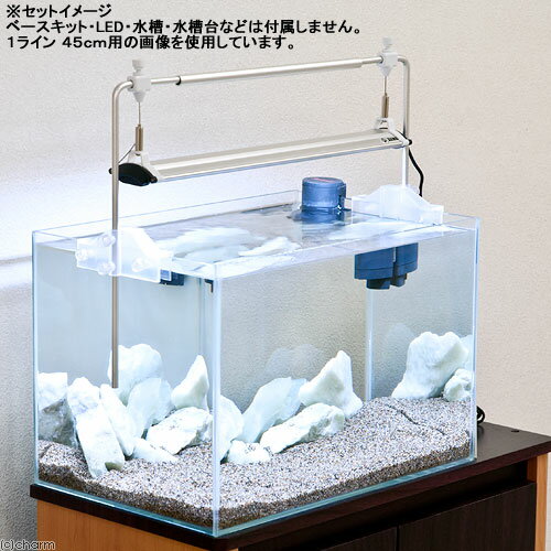 滴るアクアテラリウム水槽（両生類の飼育可能）照明付き 楽天市場】【完成品 現物】苔テラリウム アクアテラリウム 照明