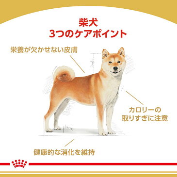 ロイヤルカナン 柴犬 成犬用 3kg 3182550823906 ジップ付 関東当日便