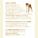 ロイヤルカナン　柴犬　成犬用　8kg　3182550823913　ジップ付　お一人様5点限り【HLS_DU】　関東当日便 3