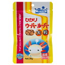 キョーリン ひかりウーパールーパー 大粒 30g 餌 エサ ウーパールーパー用 お一人様48点限り【HLS_DU】 関東当日便