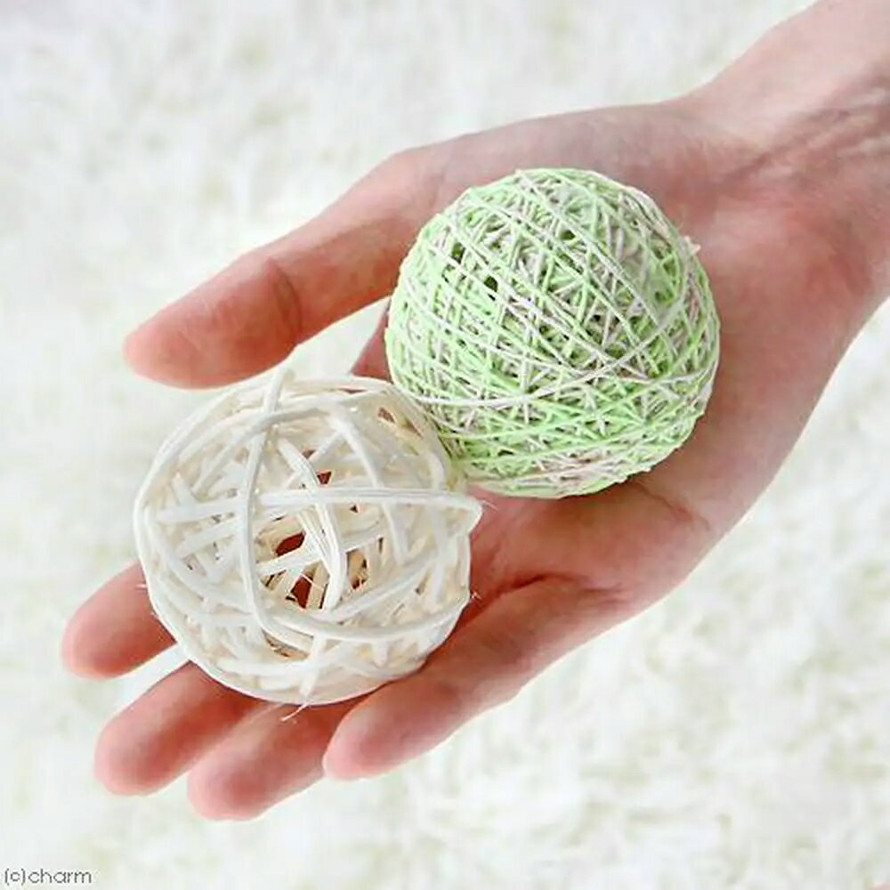 ����ƥ����ޥ󡡤����ǭ�ͤ���ͷ�ӡ��ʤ����롡2�ĥ��åȡ�ǭ��ǭ�Ѥ�����㡡�ܡ��롡�ɥ����ޥ󡡴���������