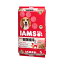 ドッグフード　アイムス　成犬用　健康維持用　ラム＆ライス　5kg　正規品　IAMS　お一人様4点限り【HLS_DU】　関東当日便