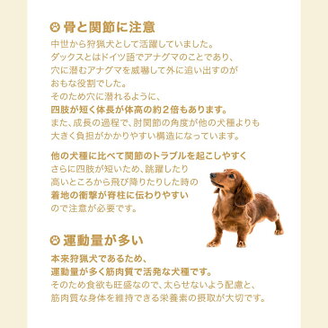 ロイヤルカナン　ダックスフンド　中・高齢犬用　3kg　ジップ付　関東当日便