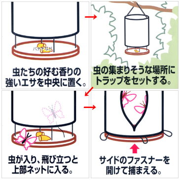 昆虫採集用わな（仕掛け）　トラップ　昆虫採集　虫捕り網　関東当日便