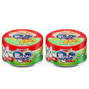 銀のスプーン 缶 お魚とささみミックスかつお節入り70g×2缶 キャットフード 銀のスプーン 関東当日便