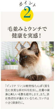 ピュリナワンキャット 室内飼い猫用 インドアキャット 1〜10歳 サーモン 2.2kg 成猫用 関東当日便