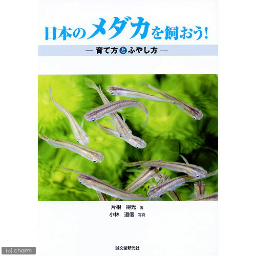 メーカー：誠文堂新光社品番：誠文堂育て方とふやし方！日本のメダカを飼おう！著片根得光写真小林道信目次　1章　メダカを飼う前に　2章　メダカを飼うときの心得　3章　初めてメダカを選ぶとき　4章　メダカの体の特徴　5章　メダカに適した水　6章　メダカの餌と与え方　7章　飼育用具のいろいろ　8章　飼育容器の設置　9章　メダカの上手な飼いかた10章　四季の管理11章　メダカの繁殖12章　ブランドメだか13章　病気を防ぐために14章　水生植物15章　巻貝16章　野生メダカ（黒メダカ）の保護17章　水替えを必要としない飼育法18章　よくある質問（エビ・貝）ヒメタニシ（10匹）（＋1割おまけ）（水草）国産　無農薬マツモ（5本）（ビオトープ）水辺植物　メダカの鉢にも入れられる水辺植物　ウォータークローバー　ムチカ（1ポット）　抽水〜浮葉植物（水草）メダカ用水草セット　4種（1パック）（水中葉）めだか … アクアリウム用品　書籍　アクアリウム　淡水　メダカ　book1000_aqua　9784416705421　opa2_delete■この商品をお買い上げのお客様は、下記商品もお買い上げです。※この商品には付属しません。■（エビ・貝）ヒメタニシ（10匹）（＋1割おまけ）（水草）国産　無農薬マツモ（5本）（ビオトープ）水辺植物　メダカの鉢にも入れられる水辺植物　ウォータークローバー　ムチカ（1ポット）　抽水〜浮葉植物（水草）メダカ用水草セット　4種（1パック）（水中葉）めだか