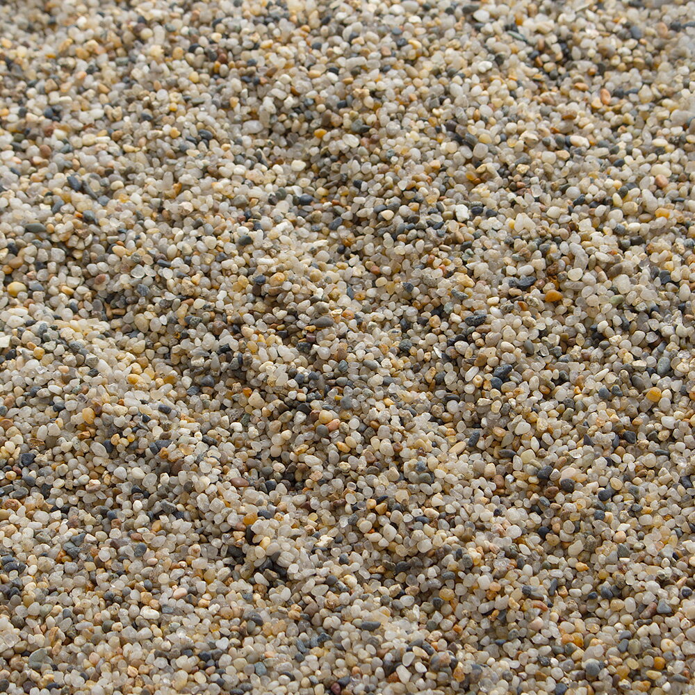 【11/25限定】当選確率2分の1!1等最大100% 底砂 No.05 湧水の砂 ミディアム 3リットル Spring Water 30cm水槽用 底床 水槽 お一人様4点限り