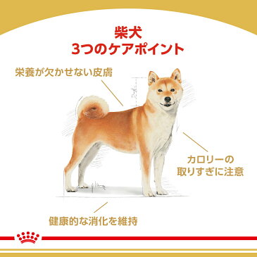 ロイヤルカナン　柴犬　成犬用　3kg×2袋　3182550823906　ジップ付　沖縄別途送料　関東当日便