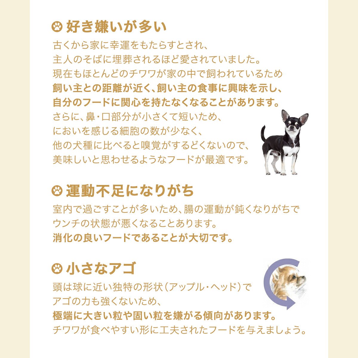 サンプル画像3