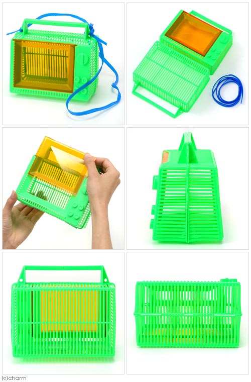 プラケース　虫かご　テレビ　小　昆虫　昆虫採集　関東当日便