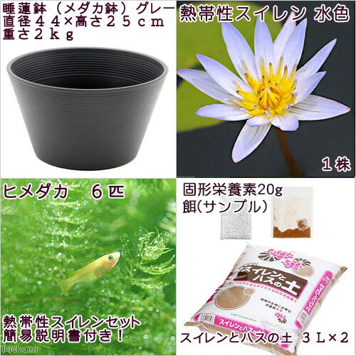 �ʥӥ��ȡ��סˡʤ�����˥ץ����ͤ�����ϡȭ�ǰ�Ƥ�ʥ��졼�ˡ�Ǯ������ϡ�ʥ������ˤȥҥ�����Υ��åȡ��忧���ܽ��͹����