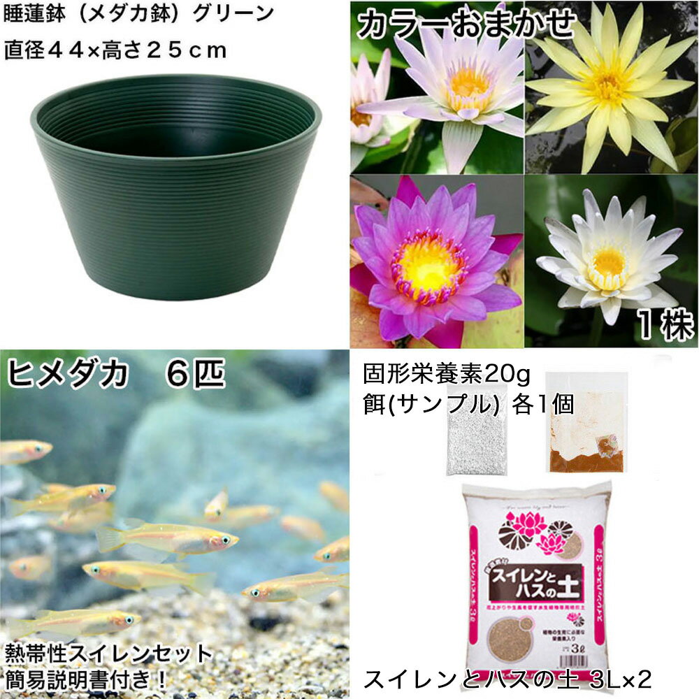 �ʥӥ��ȡ��סˡʤ�����˽鿴�Ը�������ϡȭ�ǰ�Ƥ롡��������饻�åȡʥ��꡼��˲ֿ����ޤ���Ǯ�����������ܤҤ�������������ա��ܽ��͹����