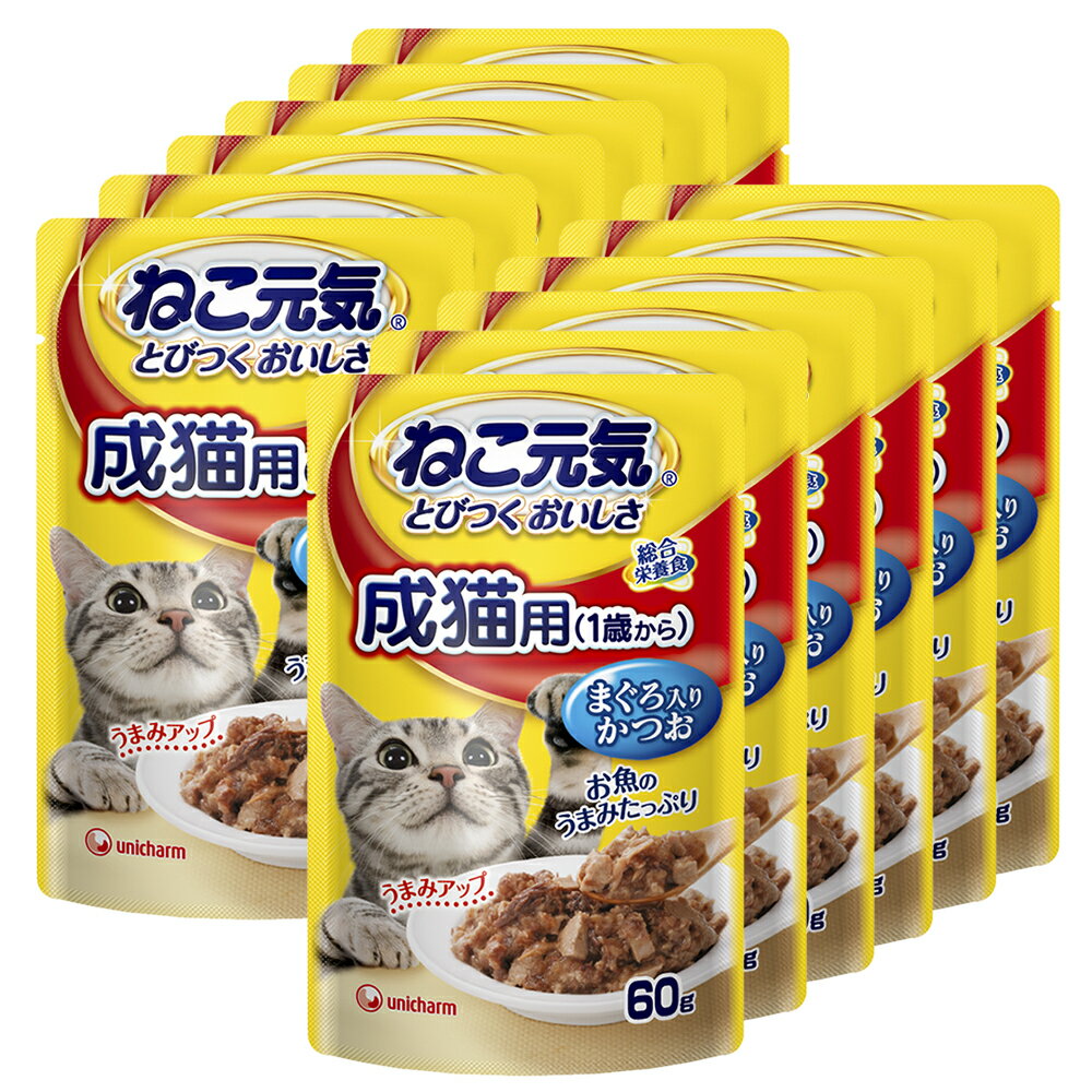 ねこ元気 総合栄養食 パウチ 成猫用 1歳から まぐろ入りかつお 60g 12袋【HLS_DU】 関東当日便