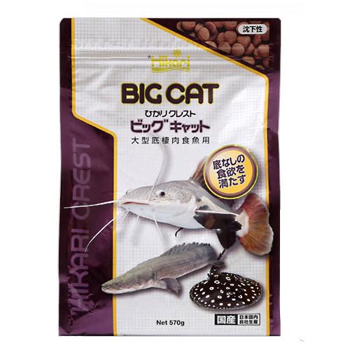 キョーリン クレストフリーク ペコルテ 20g プレコ 肉食 総合栄養食 エサ