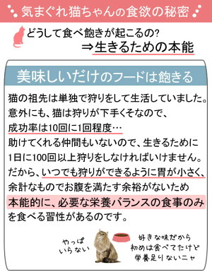 ロイヤルカナン　猫　ヘアボールケア　85g　1箱48袋　9003579000410　沖縄別途送料　お一人様5点限り　関東当日便