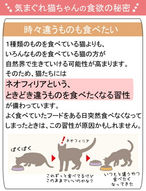 ロイヤルカナン　猫　ヘアボールケア　85g　1箱48袋　9003579000410　沖縄別途送料　お一人様5点限り　関東当日便