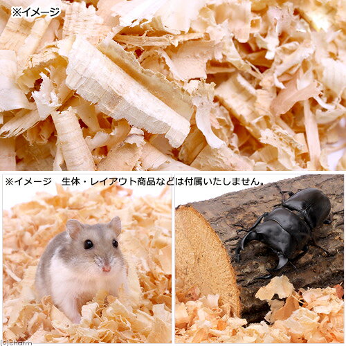 �񻺡��դ�դ���ռ����åס�5L�������ѡ����֥ȥॷ�����塞��������������