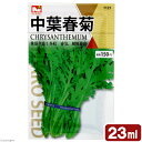 野菜の種　中葉春菊　23ml【HLS_DU】　関東当日便