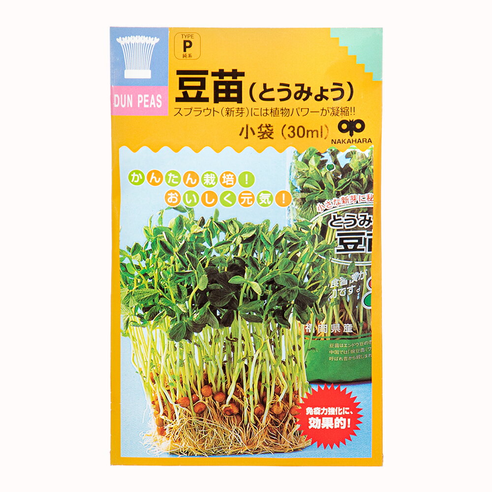 楽天charm 楽天市場店賞味期限：2024年5月31日　野菜の種　豆苗　40ml　訳あり【HLS_DU】　関東当日便